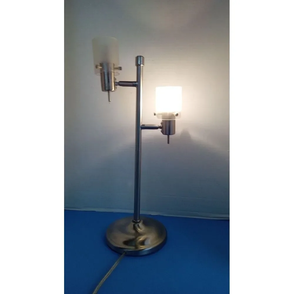 Modern Dual-Light Floor Lamp with Frosted Glass Shade Contemporary Nickel Finish